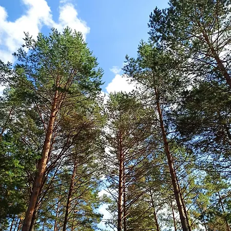 Mazurska Lesniczowka Nowy Zyzdroj