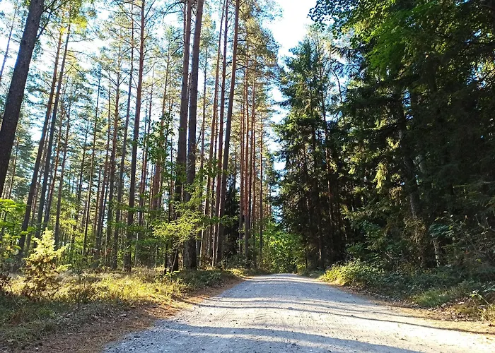 Mazurska Lesniczowka Bed & Breakfast