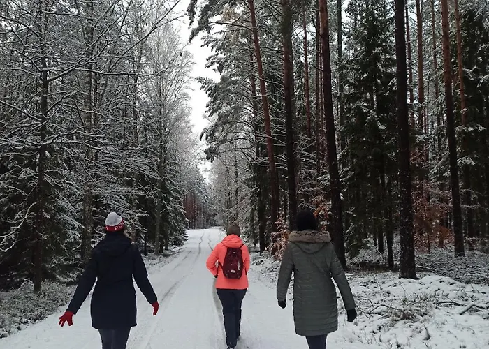 Bed & Breakfast Mazurska Lesniczowka 3*